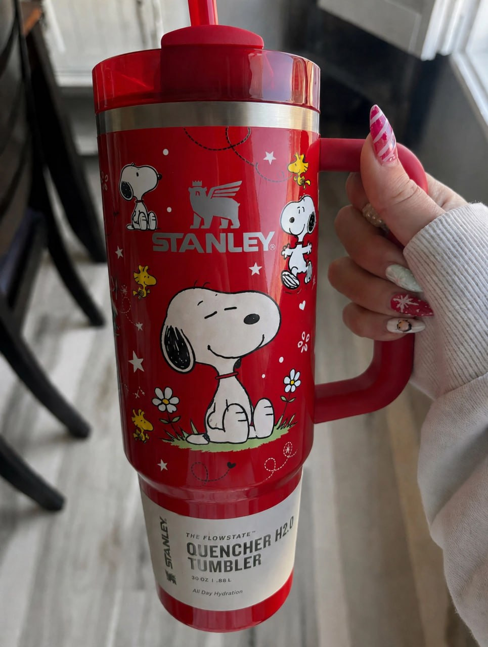 Snoopy Dog 40oz tumbler HG
