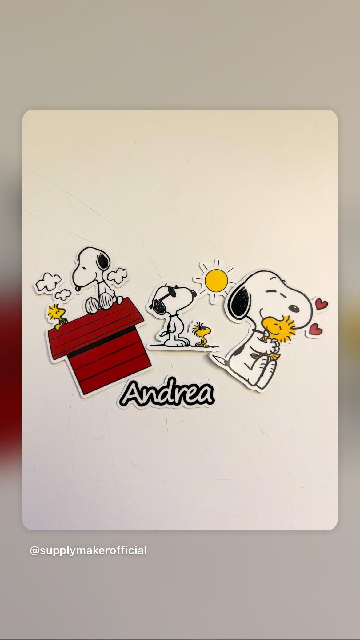 Snopi Hugging Woodstock Sticker NNA - Charlie Brown Peanuts Waterproof Vinyl Sticker NNA Car Decal - Image 9