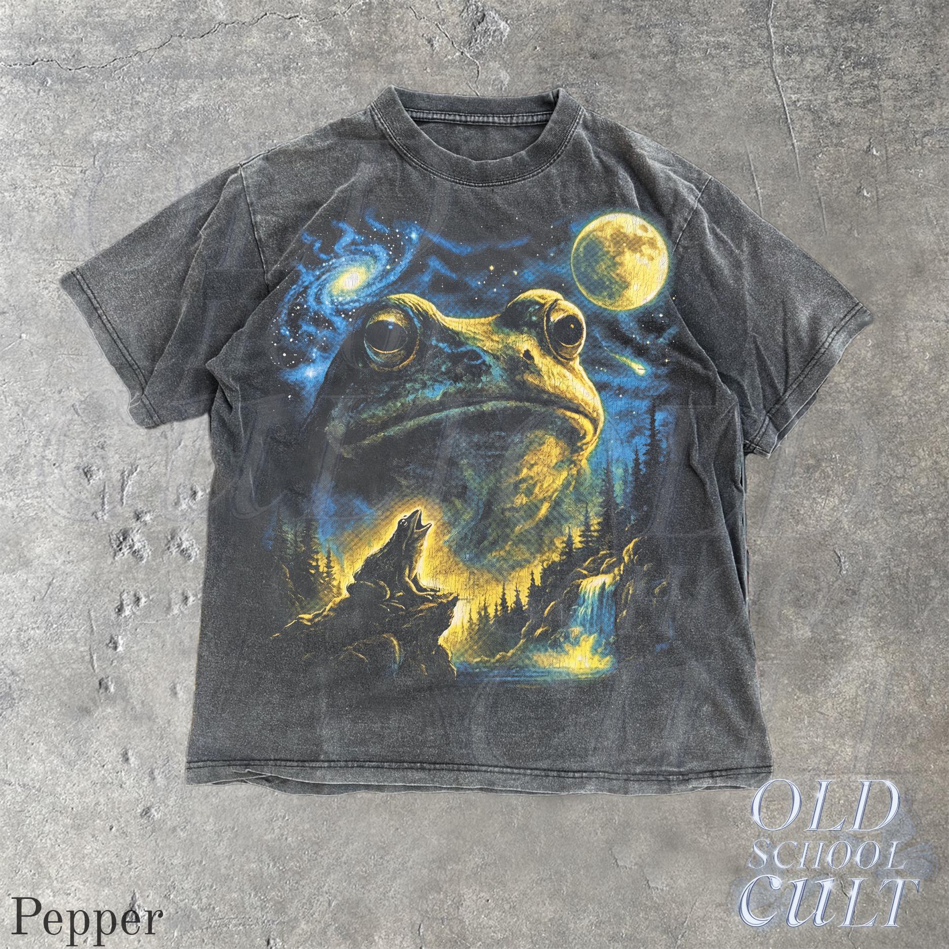 Vintage Frog 90s T Shirt, HG Cosmic Moon Graphic Tee, Washed Black Nature Shirt, Space Frog Gift, Mystical Forest Animal Art Tee - Image 2