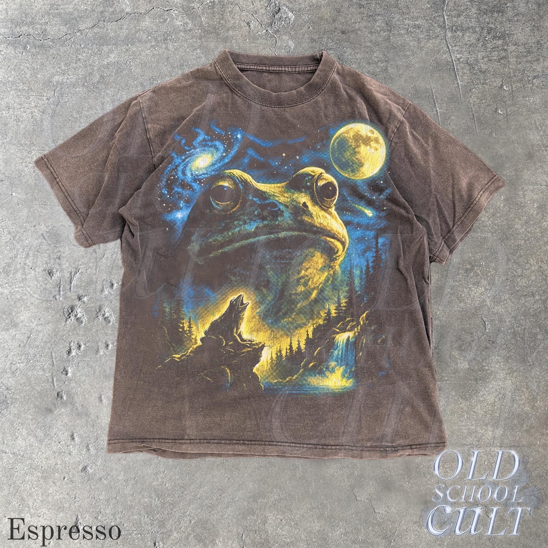 Vintage Frog 90s T Shirt, HG Cosmic Moon Graphic Tee, Washed Black Nature Shirt, Space Frog Gift, Mystical Forest Animal Art Tee - Image 3