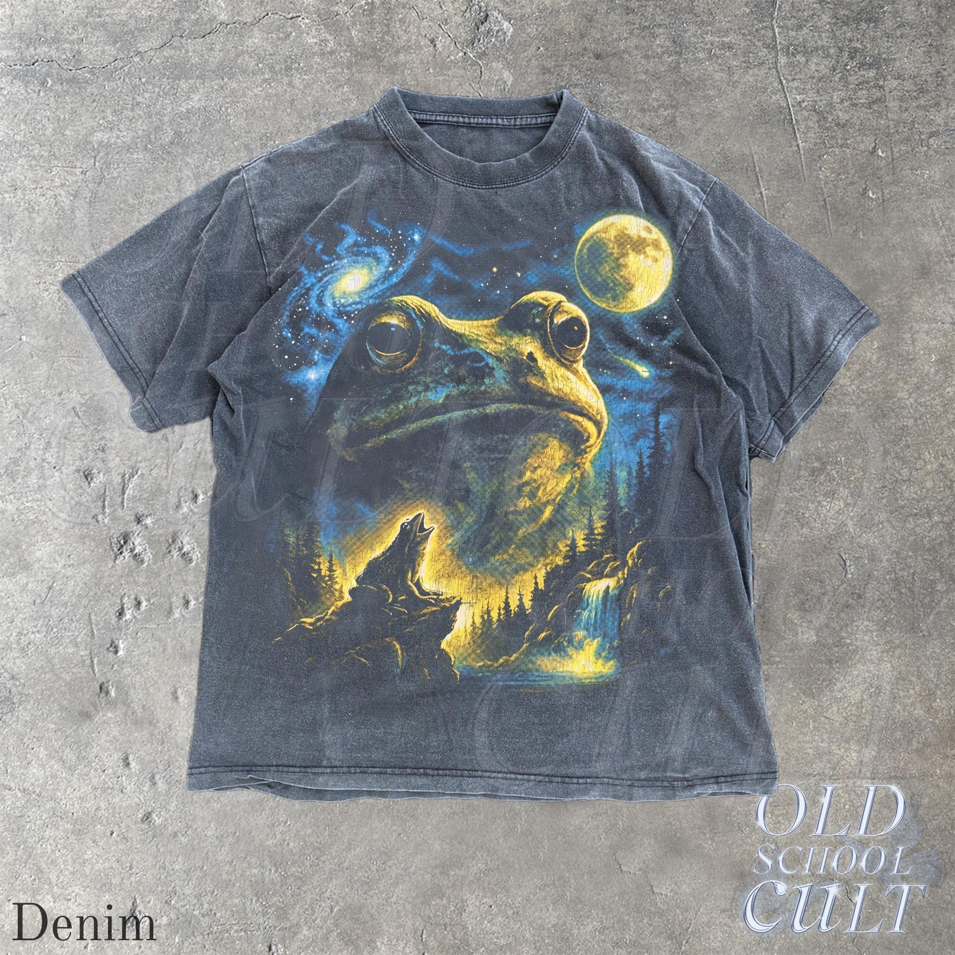 Vintage Frog 90s T Shirt, HG Cosmic Moon Graphic Tee, Washed Black Nature Shirt, Space Frog Gift, Mystical Forest Animal Art Tee - Image 4
