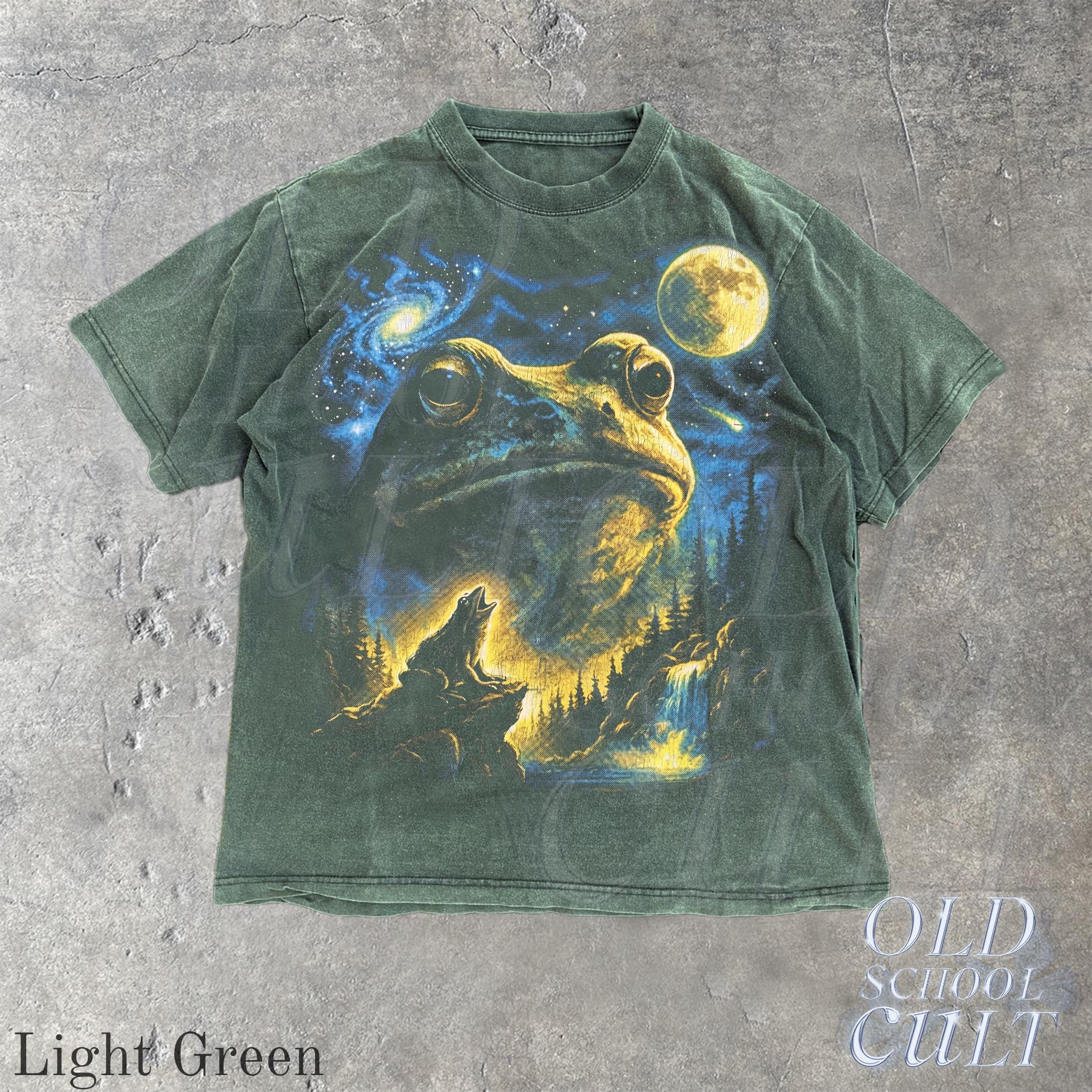 Vintage Frog 90s T Shirt, HG Cosmic Moon Graphic Tee, Washed Black Nature Shirt, Space Frog Gift, Mystical Forest Animal Art Tee - Image 6