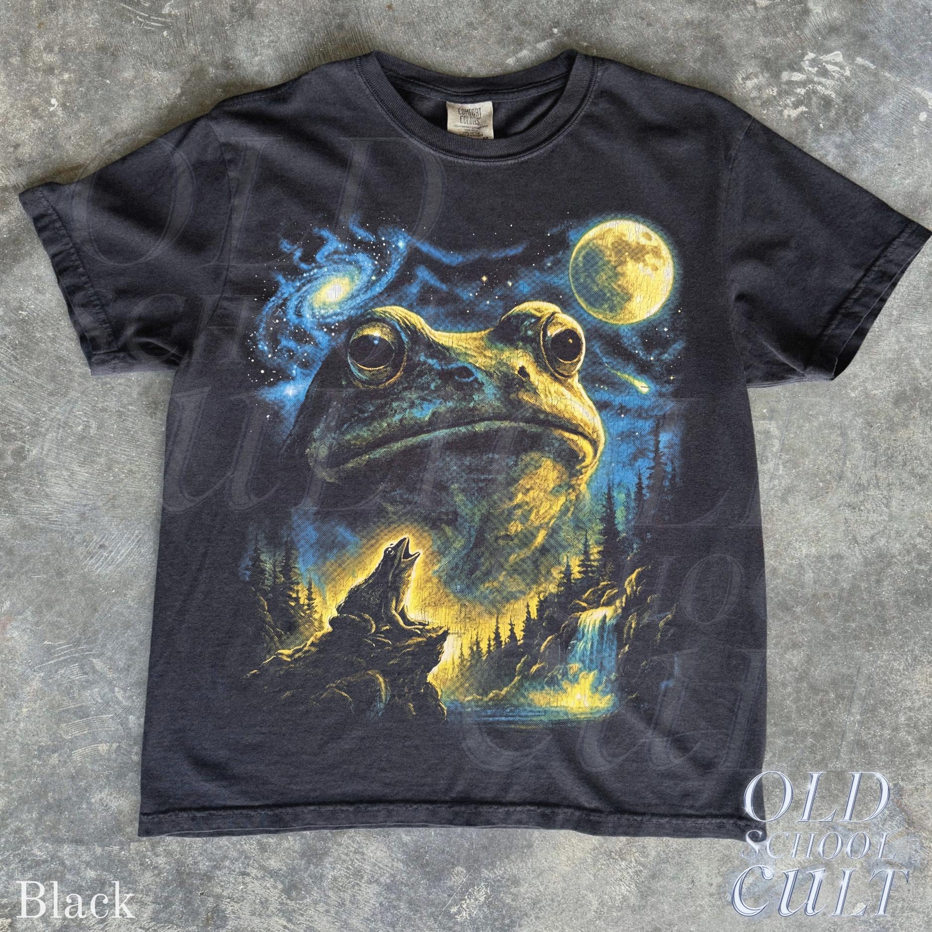 Vintage Frog 90s T Shirt, HG Cosmic Moon Graphic Tee, Washed Black Nature Shirt, Space Frog Gift, Mystical Forest Animal Art Tee - Image 7