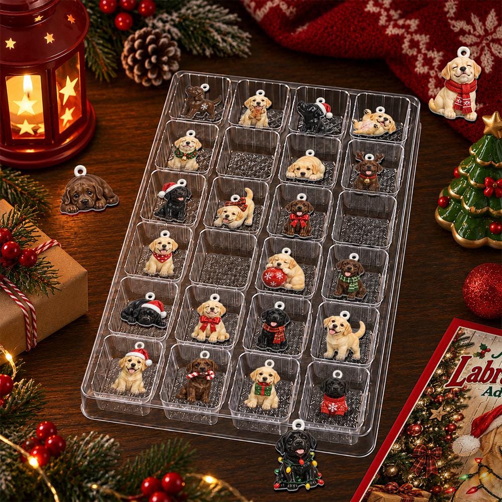 Personalized Labrador Retriever Advent Calendar HG, 24 Acrylic Charms, Custom Dog Christmas Countdown Gift - Image 3